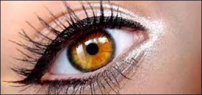 J�ai les yeux ambr&eacute;s :