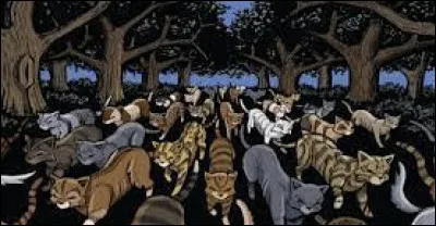 J�ai particip&eacute; au Grand P&eacute;riple :