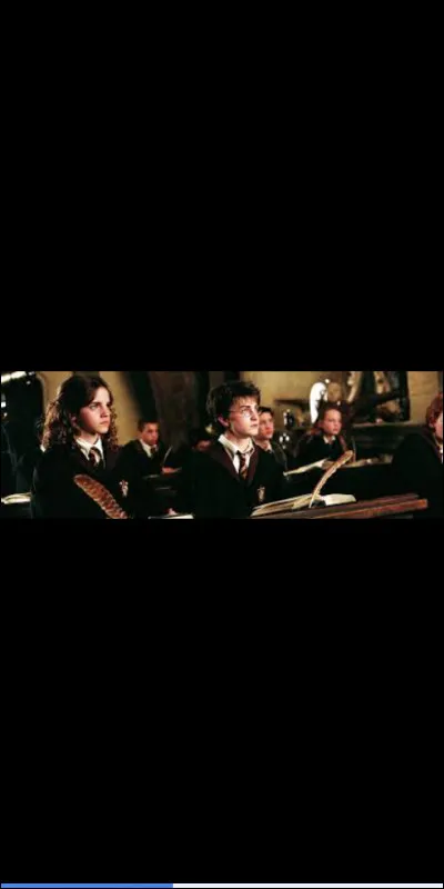 Es-tu plutôt travailleur ou non ?