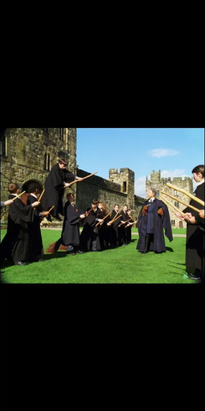 Quel balai préfères-tu ?