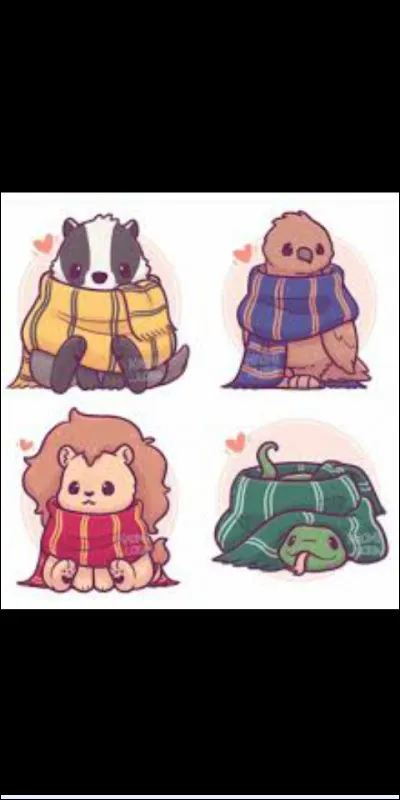 Dans quelle maison aimerais-tu être ?