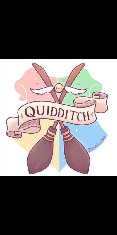 À quel poste voudrais-tu être au quidditch ?
