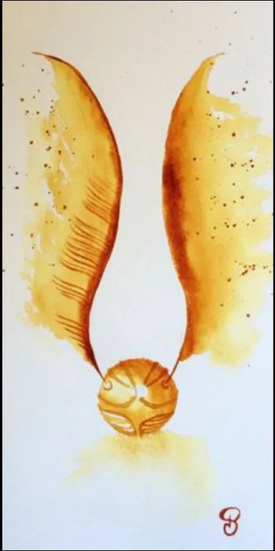 Quel est ton rêve ?