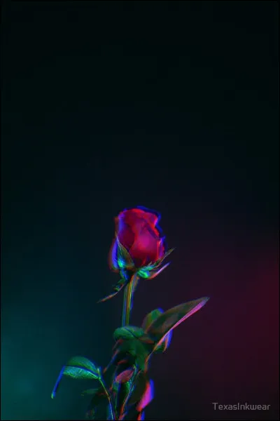 Tu préférerais rencontrer une personne...