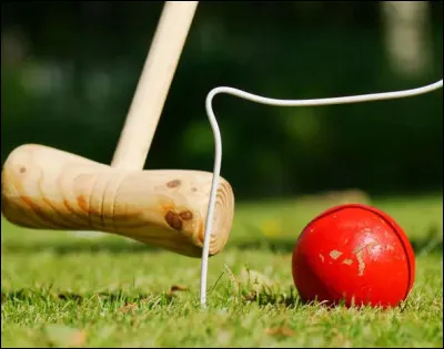 Il n'y eu qu'un seul spectateur à cette épreuve, en 1900 ! Ce fut pourtant quelque chose d'historique : pourquoi ?