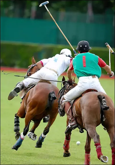 Les Anglais dominèrent le polo durant les 3 premières éditions (1904, 1908 et 1912). En 1924 et 1936, une autre nation [...laquelle ?] les détrône, avec un score de ...[combien ?] pour la dernière victoire !