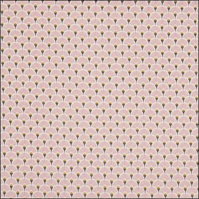 Sciences : à qui doit-on la célèbre formule « E = mc² ?