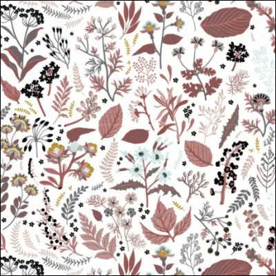 Littérature : quel auteur anglais a écrit Croc-Blanc ?