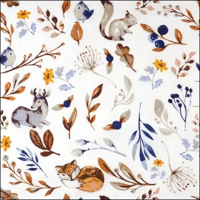 Poésie : dans quel poème de Victor Hugo retrouve-t-on la phrase « Lil était dans la tombe et regardait Caïn » ?