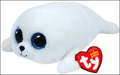 Quel est le nom de ce petit animal très mignon que l'on confond souvent avec un autre ?