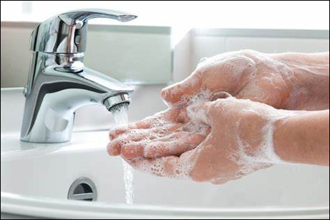 Te laves-tu les mains quand tu arrives à la maison ?
