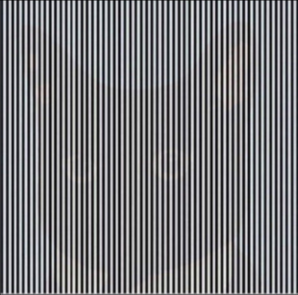Que voyez-vous ?