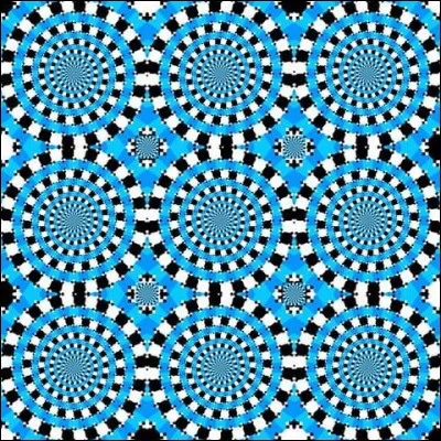 Que font les ronds ?