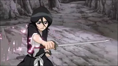 De quel capitaine est-ce la sur ?