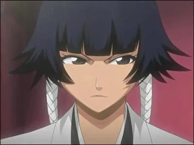 Pourquoi son bankai n'est-il pas rglementaire ?