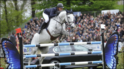 Pour finir, ton poney doit-il être fait pour les compétions ?