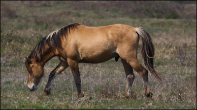 Combien de temps seras-tu présent pour lui dans la semaine ?