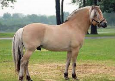 As-tu un grand jardin ?