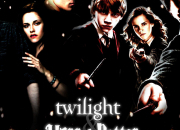 Test Quel personnage de ''Twilight''/''Harry Potter'' es-tu ?