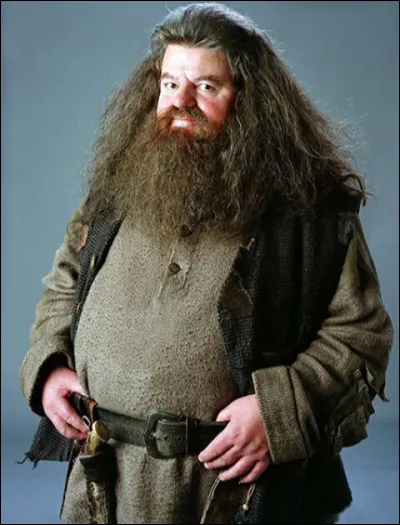 Un peu plus dur,
Quelle est la date d'anniversaire de Rubeus Hagrid ?