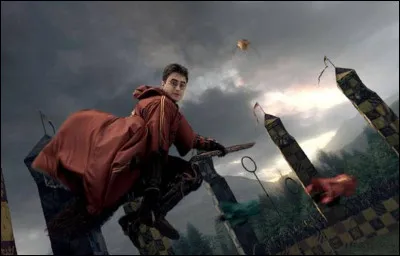 Fais-tu du quidditch ?