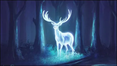 Quel est ton patronus ?