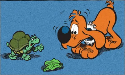 Quel est le nom de la tortue dans la BD ''Boule et Bill'' ?