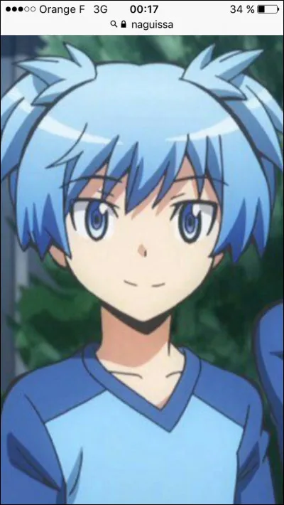 Quelle est la couleur préférée de Naguissa ?