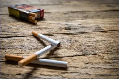 Quel vêtement peut avoir une coupe dite "cigarette" ?
