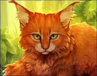 Je suis la sur d'un certain Elderkit.