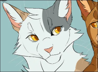 Et enfin, la grande révélation : nous sommes demi-surs !