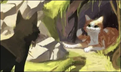 Ma mère est Plume Blanche.