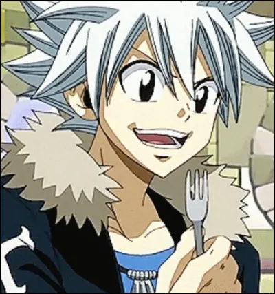 Dans Rave Master, quelle est l'arme de Haru ? (Je sais, l'image vient de l'OAV de Fairy Tail avec Rave mais cest quand même Haru)
