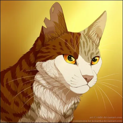 Cette guérisseuse a enfreint le code du guérisseur. Qui est-elle ?