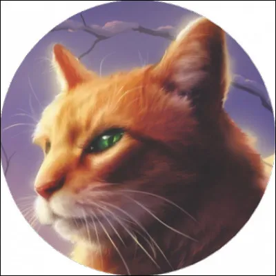 Celui-ci est mort noyé, et d'ailleurs un autre guérisseur avait tenté de le sauver. Qui est-il ?