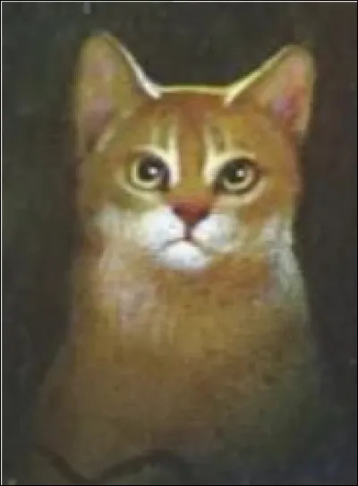 Il a vécu énormément de temps ! Son mentor était Cur de Faucon, et son apprenti est Plume de Crécerelle.