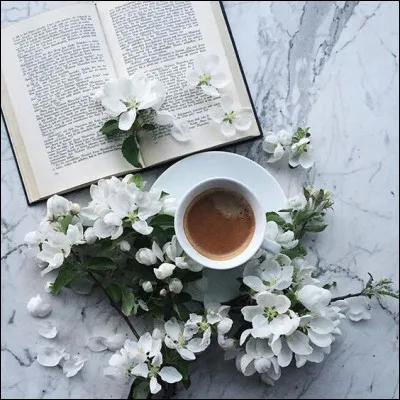 Quel roman n'appartient pas à l'écrivain américain né dans dans l'Illinois, Ernest Hemingway ?