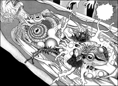 Comment s'intitule l'histoire dont provient cette image ?