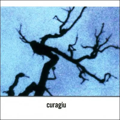 Quel groupe musical fran&ccedil;ais a connu son premier succ&egrave;s avec l�album "Curagiu" en 1995 ?