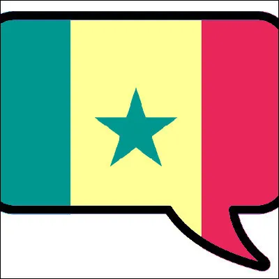 Quel v&ecirc;tement unisexe porte un nom issu du wolof ?