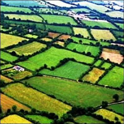 Comment appelle-t-on un paysage o&ugrave; les champs sont coup&eacute;s de haies ?