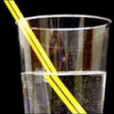 Quel math&eacute;maticien fran&ccedil;ais, grand contributeur de la th&eacute;orie des nombres, a &eacute;galement &eacute;nonc&eacute; le principe selon lequel la lumi&egrave;re suit le chemin le plus rapide ?