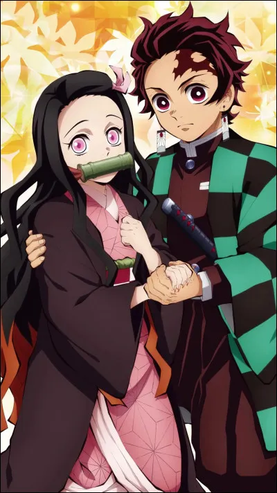 L'alter que tu veux est :