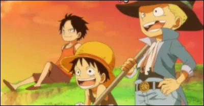 Luffy, Ace et Sabo sont frères depuis leur naissance.