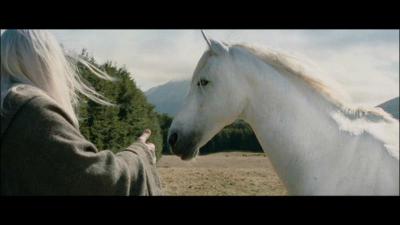 Quel est le nom du cheval de Gandalf ?