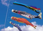 Quiz Les carpes koï