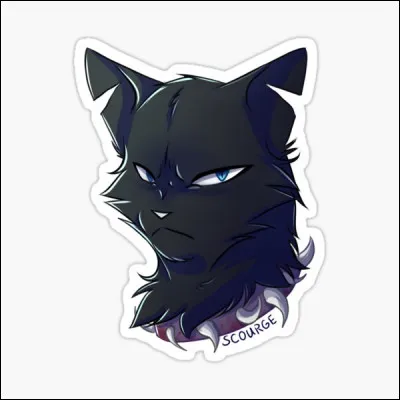 Ce chef dirige un clan composé d'anciens chats domestiques. Il n'a pas eu un passé très heureux, mais se venge sur les innocents. Qui est-il ?