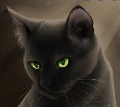 Vous rendez-vous compte que ce n'est qu'une feuille morte qui m'a sauv&eacute; la vie, alors que je cherchais &agrave; fuir mon clan car je l'avais trahi en tuant un chat ? J'ai aussi dit : "Ne fais pas comme si le pass&eacute; n'avait jamais exist&eacute;, Pelage de Lion. C'est comme mon ombre. Il me suivra toujours." Qui suis-je ?