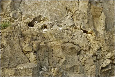 Sur cette photo, que vous avez intérêt à agrandir en cliquant dessus (comme d'ailleurs toutes les autres), quelque chose devrait attirer votre attention !