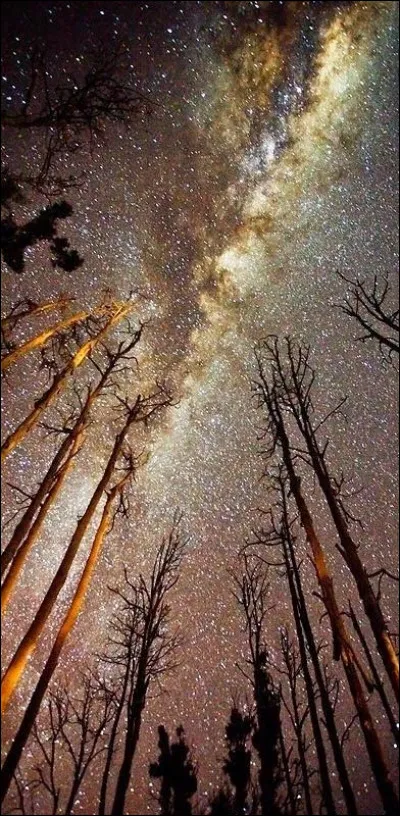 Quelle a été la toute première planète (hormis la Terre) que l'on a pu survoler ?